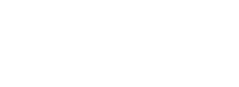 VTuber Hat | Embroidered Dad Cap