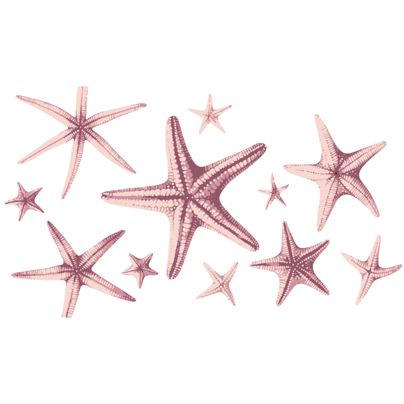 Star fish hat Embroidered Dad Cap