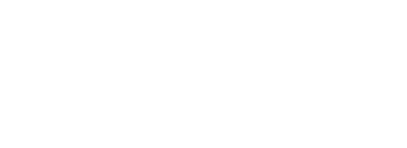 Big Man Blastoise Hat | Embroidered Dad Cap | Funny Internet Meme 2025
