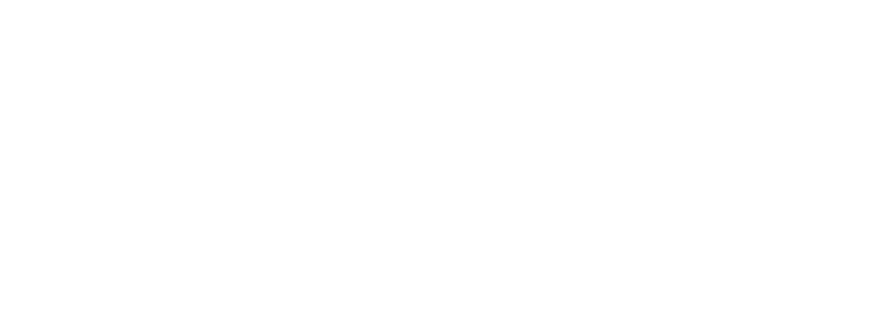 Ni Hao Hat | Embroidered Dad Cap | Hello in Chinese