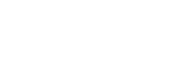 TRUMP Meme Coin Trump Hat | Embroidered Dad Hat | Trump Cryptocurrency Hat