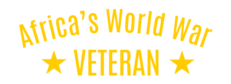 Africa’s World War Veteran Embroidered Dad Cap | Military History Baseball Hat | Veteran Tribute Adjustable Cap