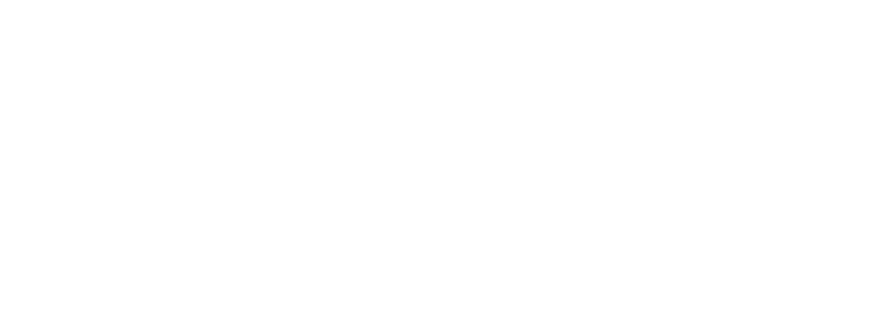 Hapa Twin Hat Embroidered Dad Hat | Gift for Half Twins