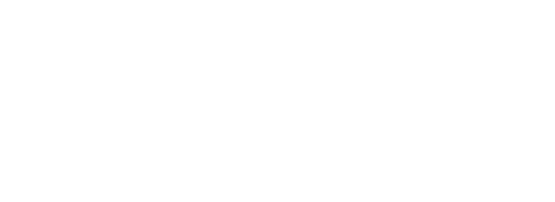 Brainrot Hat | Embroidered Dad Cap