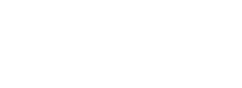Cat boss Hat Embroidered Dad Cap | Funny Cat Hat