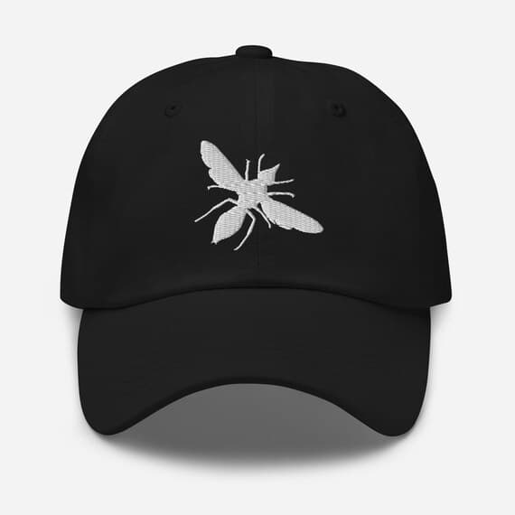 Housefly Cap | Insect Lover Hat | Entomology Gift | Fly Embroidered Dad Hat | Bug lover gift