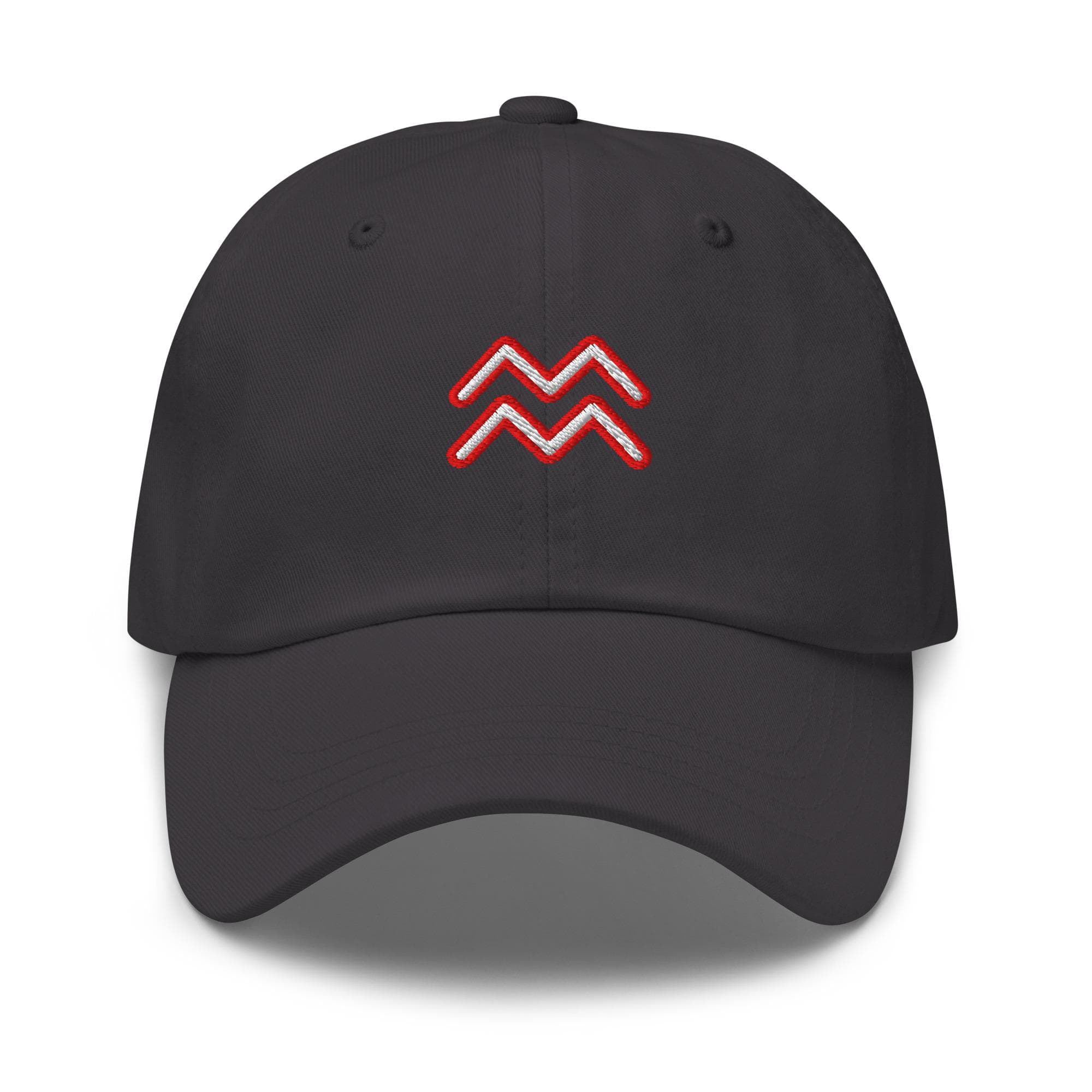 Aquarius Zodiac Sign Hat Embroidered Dad Hat Adjustable Strap Gift for Aquarius Birthday Gift Astrology Hat Horoscope Water Bearer Cap