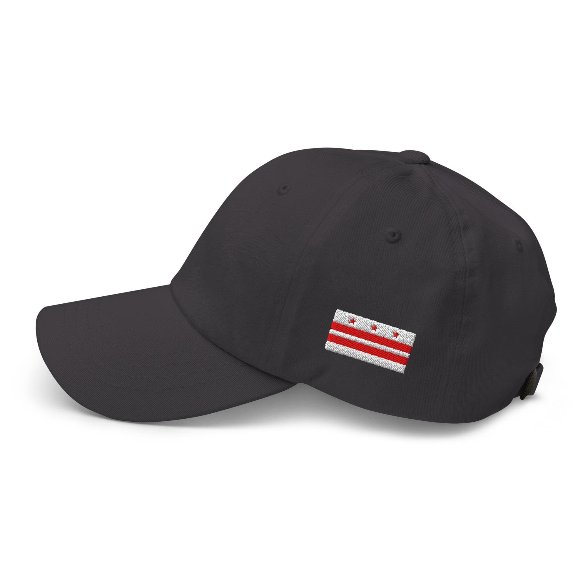 Washington DC Flag Dad Hat Baseball Cap Embroidered Flag Gift for Dad Gift for Friend