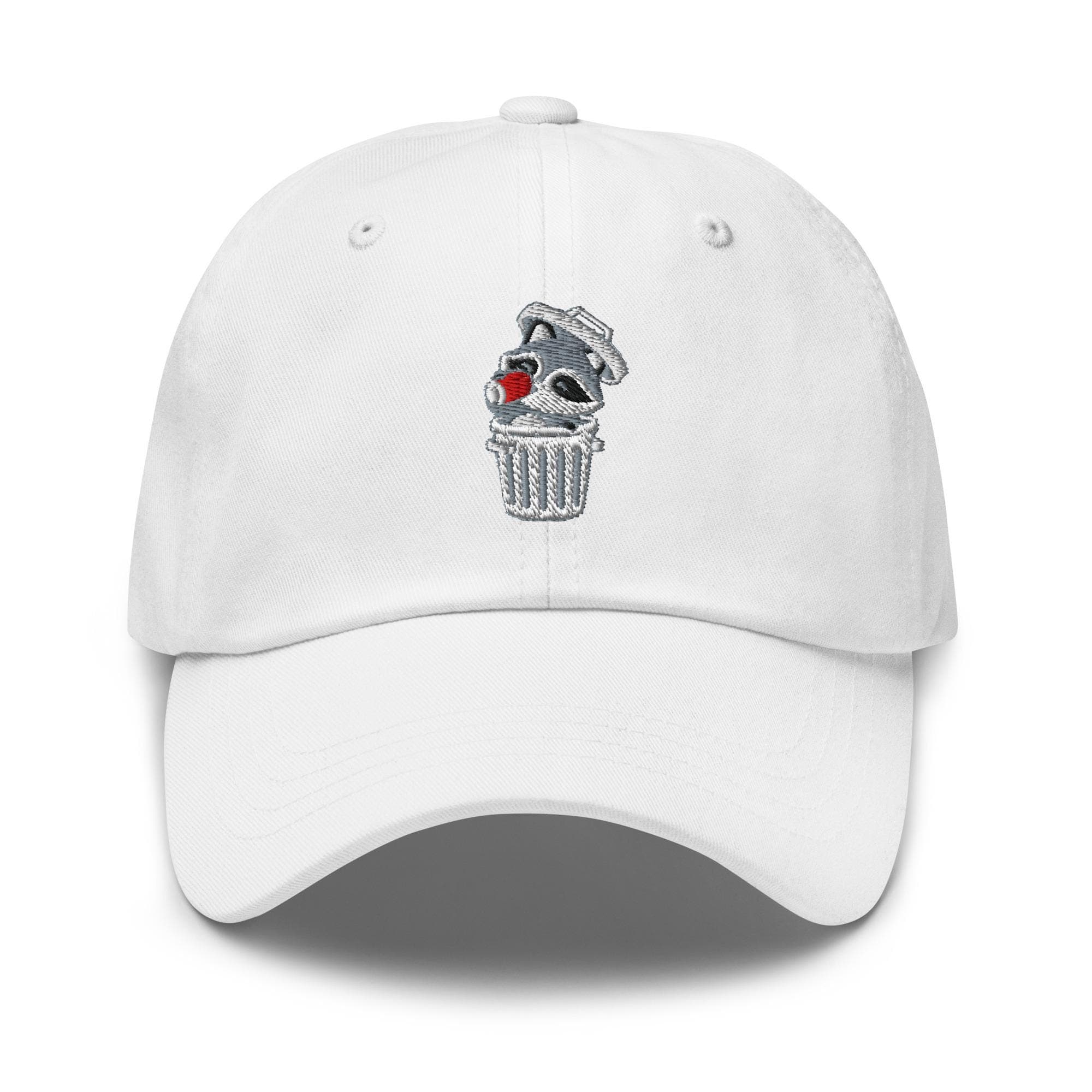 Raccoon Hat Drinking Cola Embroidered Dad Hat, Gift For Raccoon Lover Baseball Cap, Dad Cap Gifts, Gift for Dad Gift for Mom Raccoon Gift