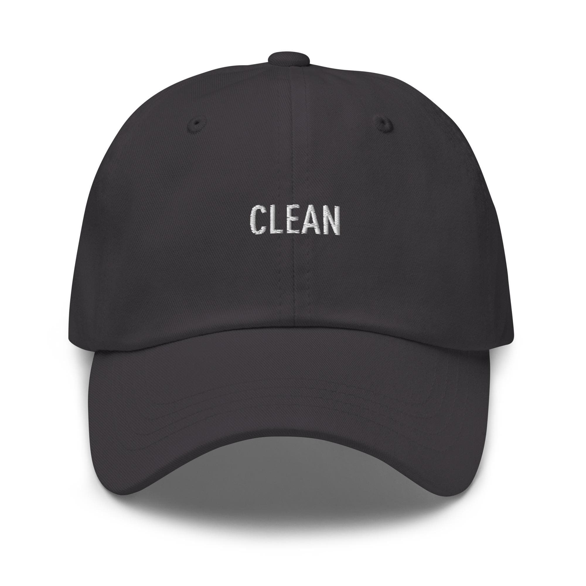 Clean Hat Embroidered Hat with Adjustable Strap Metal | Minimalist Hat | Personality Traits Hat | Baseball Cap | Gift for Friend