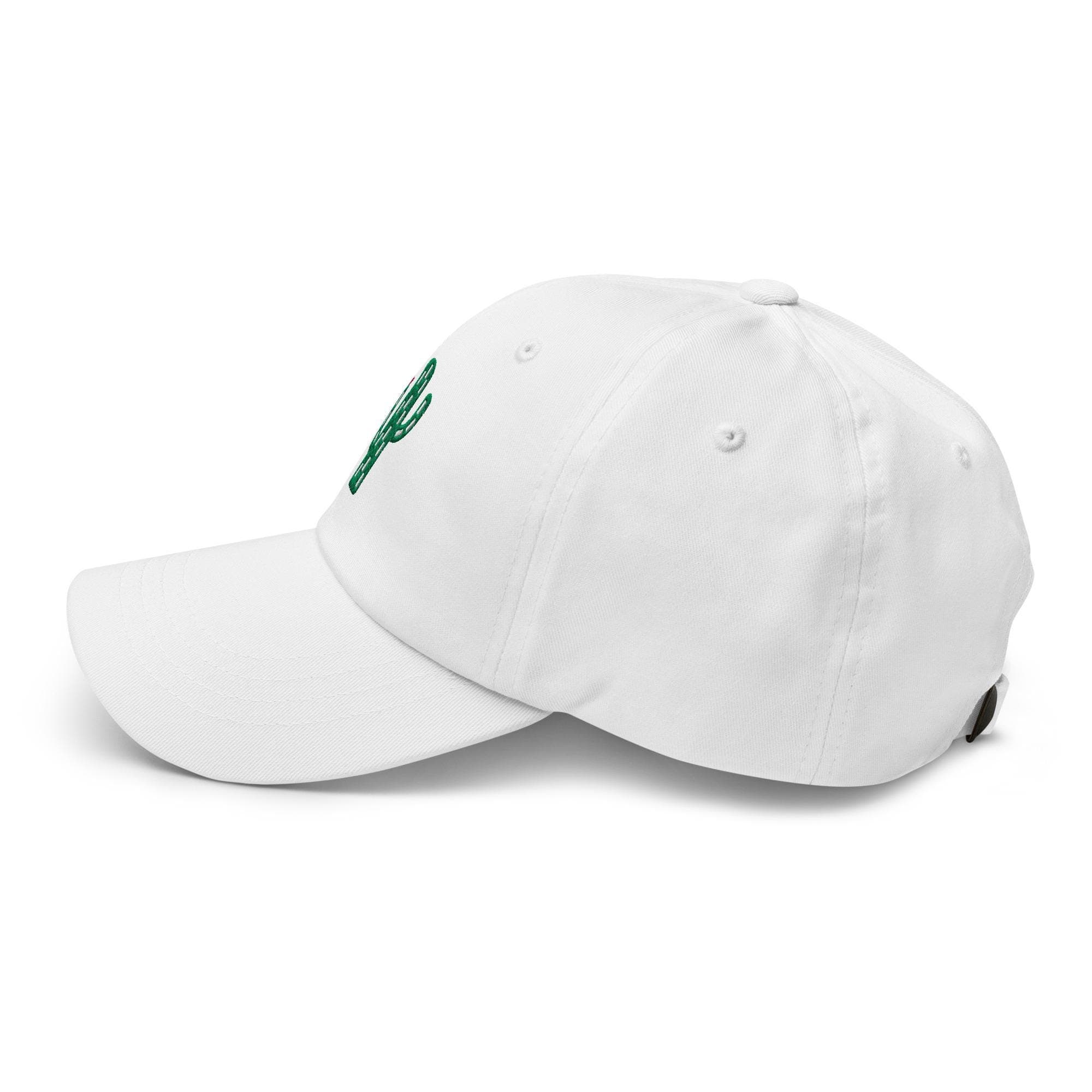 Embroidered Cactus Cap – Plant Lover Hat, Minimalist Desert Baseball Cap, Outdoor Gardening Gift, Succulent Embroidery Dad Hat