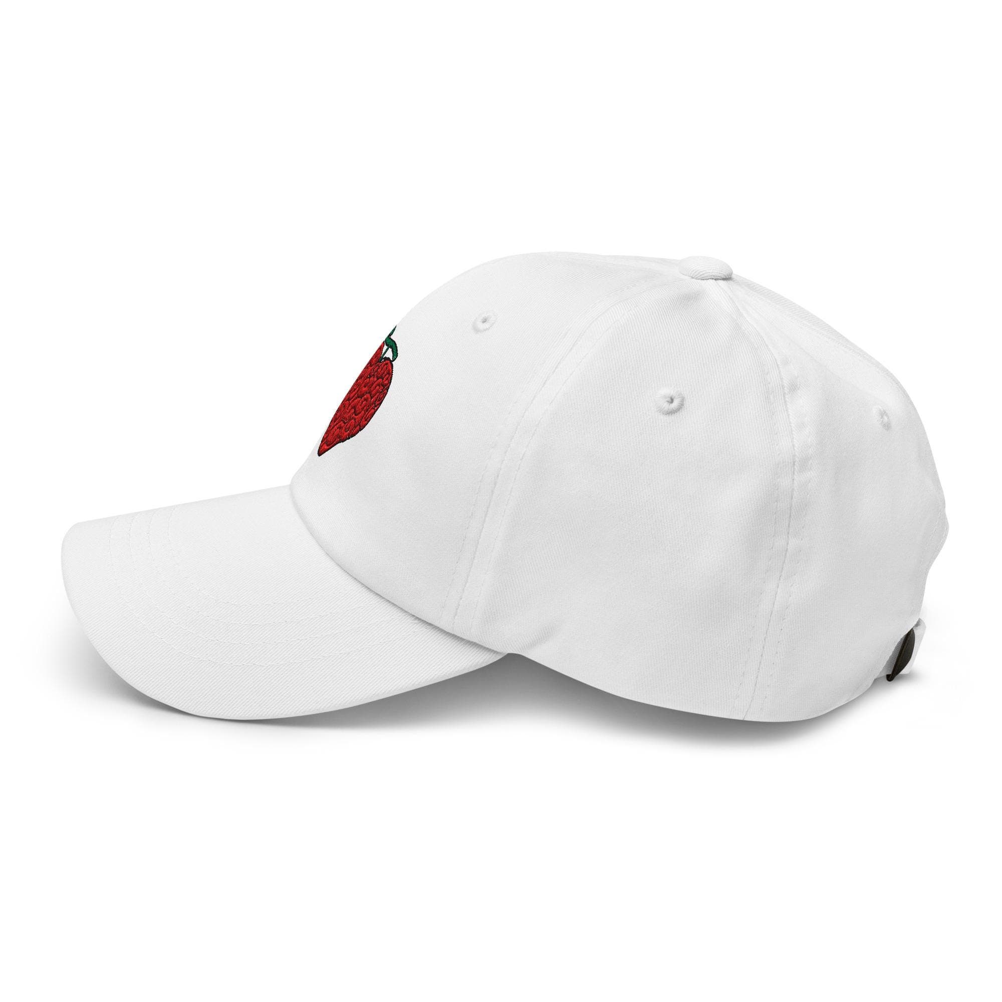 Ope Ope No Mi Fruit Dad hat, Scalpel Fruit Hat Devil Fruit