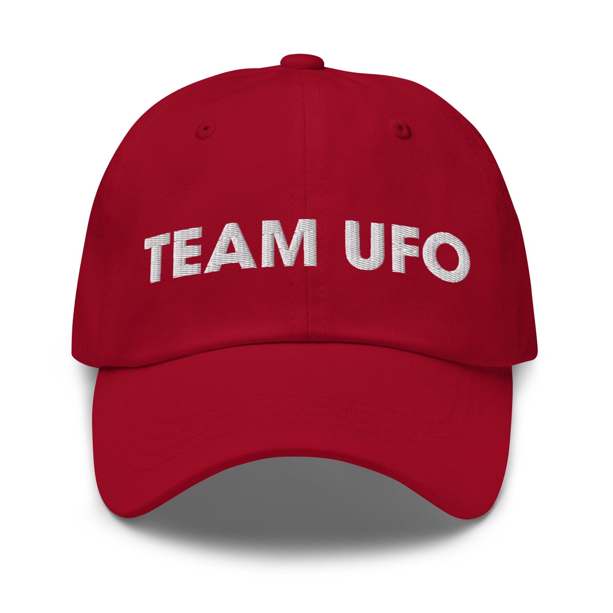 Team UFO Hat Embroidered Hat Funny Meme Hat Random Humor Gag Gift for Friend Gift For Nerd