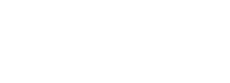 Ikigai Hat Embroidered Dad Cap | Ikigai Kanji Character Hat