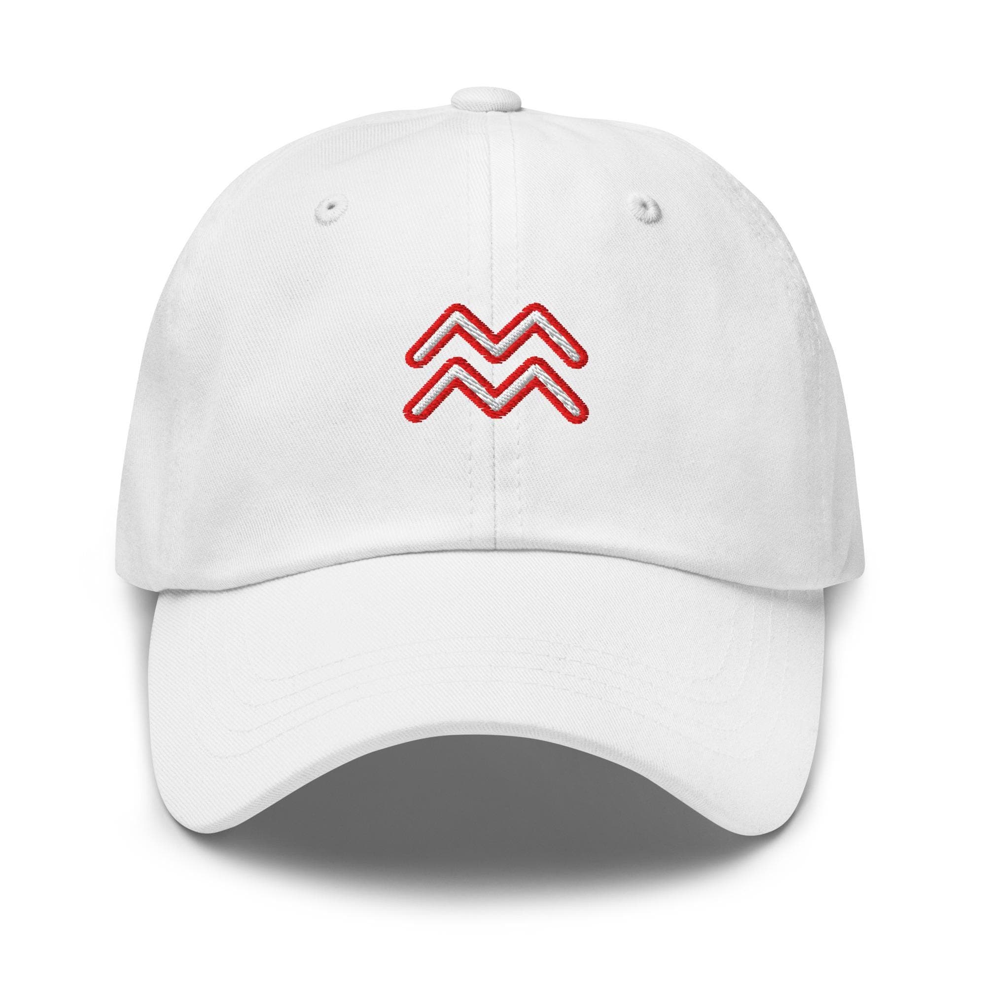 Aquarius Zodiac Sign Hat Embroidered Dad Hat Adjustable Strap Gift for Aquarius Birthday Gift Astrology Hat Horoscope Water Bearer Cap