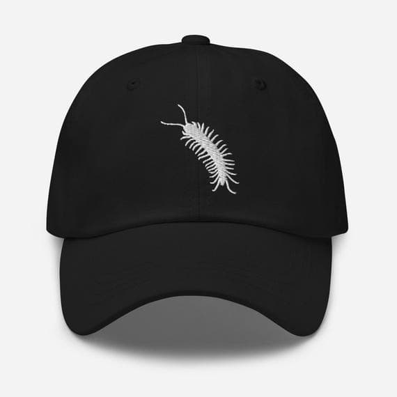 Centipede Embroidered Cap | Bug Lovers Hat | Insect Enthusiast Gift | Nature & Entomology Hat | Creepy Crawlies Cap